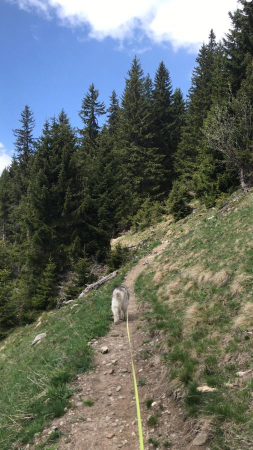 Ferienwohnung Uf Z`Enisch Klosters-Serneus Exterior foto